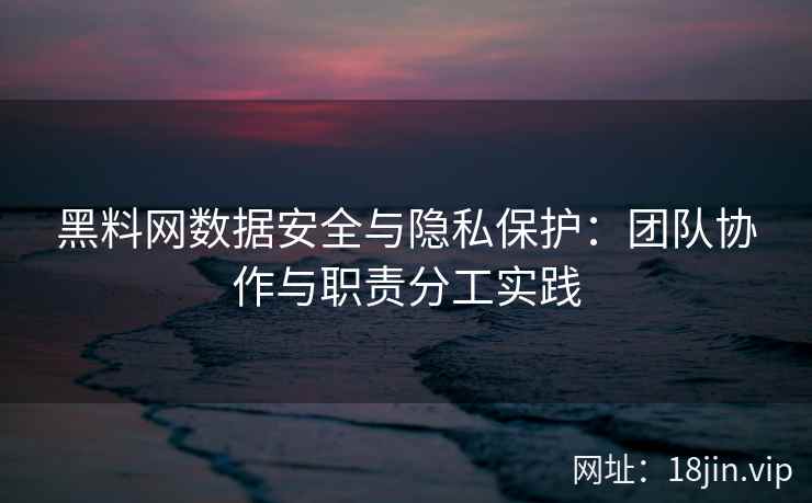 黑料网数据安全与隐私保护：团队协作与职责分工实践