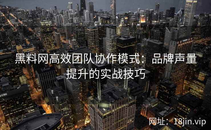 黑料网高效团队协作模式：品牌声量提升的实战技巧
