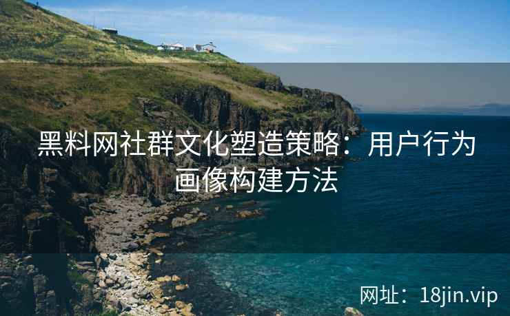 黑料网社群文化塑造策略：用户行为画像构建方法