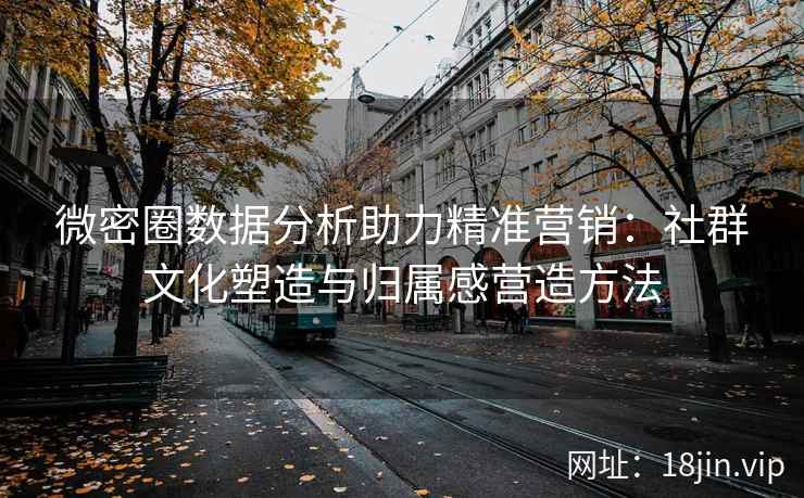 微密圈数据分析助力精准营销：社群文化塑造与归属感营造方法