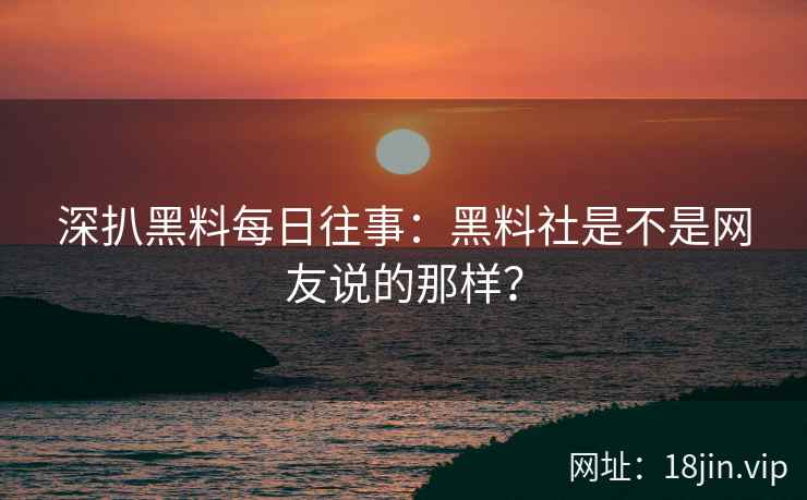 深扒黑料每日往事：黑料社是不是网友说的那样？